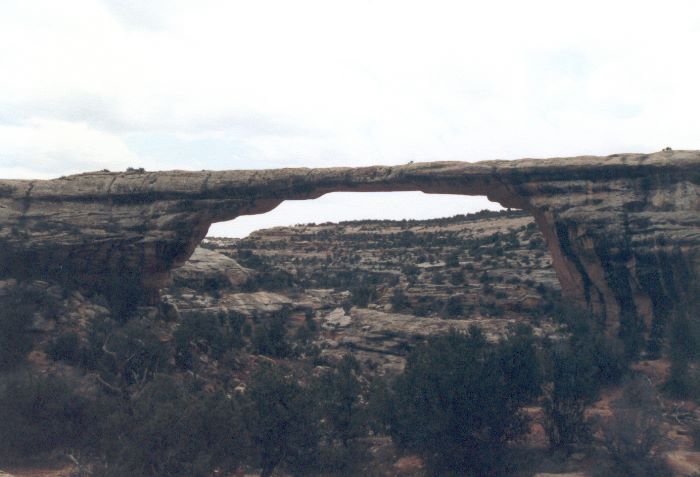 ../Images/128.Natural Bridges Nat.Monument.jpg